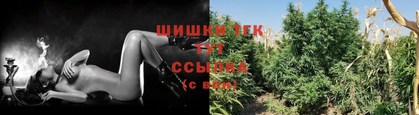стаф Бородино