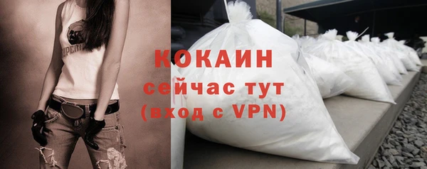 стаф Бородино