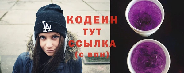 стаф Бородино