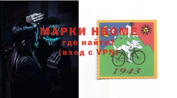стаф Бородино