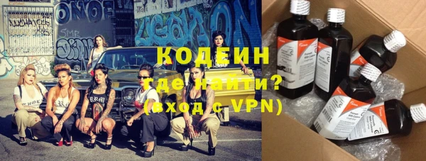 стаф Бородино