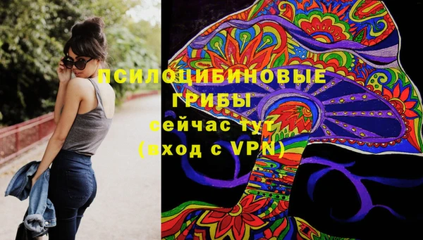стаф Бородино